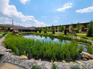 a pond in front of a building at Delta Hotel in Vylkove