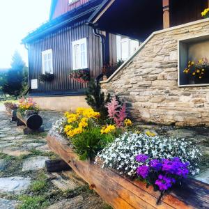 Stará škola في دولني مالا أوبا: حفنة من الزهور أمام مبنى