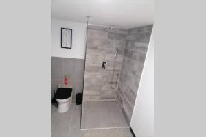a bathroom with a shower and a toilet at Maison 50 Nuances De Bresse in Saint-Didier-en-Bresse