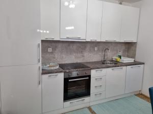 Kuchyňa alebo kuchynka v ubytovaní Apartman Nataly