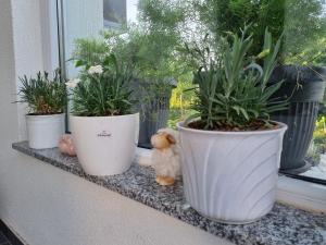 Vonkajšia záhrada v ubytovaní Apartman Nataly