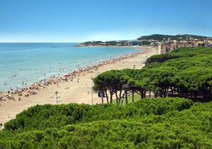 ein Strand mit vielen Menschen im Wasser in der Unterkunft PARADIS PARK, APARTAMENTO PISCINA Y PLAYA in La Pineda