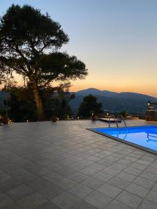 a swimming pool with a tree in the background at Villa Evelyn in Stafylos