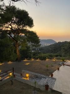 Blick auf einen Park mit einem Baum und Lichtern in der Unterkunft Villa Evelyn in Stafylos