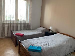 Kép Apartment Botanicska 2-11 szállásáról Nagyszombaton a galériában Még 36 kép