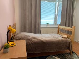 Kép Apartment Botanicska 2-11 szállásáról Nagyszombaton a galériában