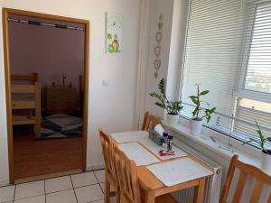 Kép Apartment Botanicska 2-11 szállásáról Nagyszombaton a galériában