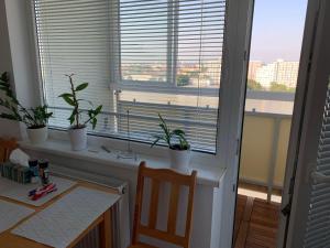 Kép Apartment Botanicska 2-11 szállásáról Nagyszombaton a galériában