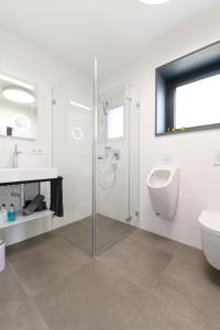 uma casa de banho com um chuveiro, um WC e um lavatório. em Das Andere - Gästeapartment em Kippenheim