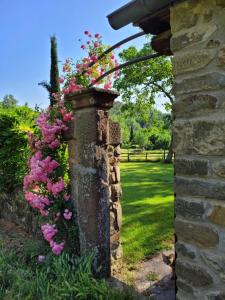Foto de la galería de La Casa nel Chianti en Greve in Chianti 36 fotos más
