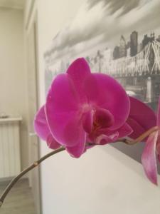 Fotografie z fotogalerie ubytování B&B via Piave da Lillo v destinaci Frosinone