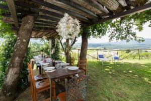 A garden outside Villa le Casine by Mmega