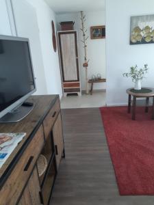 TV a/nebo společenská místnost v ubytování Appartement FreiRaum