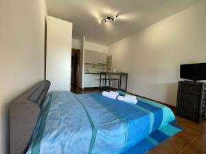 a bedroom with a large blue bed in a room at Suite Semeria 133 - Box Auto e terrazzo in Sanremo