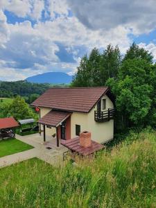 una pequeña casa con una mesa de picnic en un campo en Cabana 7 Brazi en Poiana Mărului