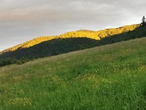 Imagen de la galería de KLEMENTÓWKA, en Cisna