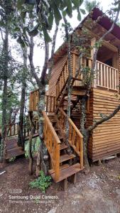 una casa en un árbol con una escalera de madera en el bosque en Cabaña en el Bosque de San José del Pacífico en El Pacífico