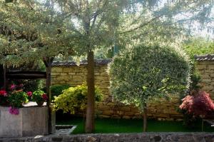 Fotografie z fotogalerie ubytování Guesthouse Djurić v destinaci Negotin