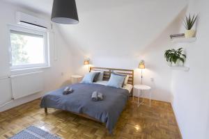 1 dormitorio con cama y ventana en Chili House Tiszafüred en Tiszafüred