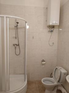 ein Bad mit einer Dusche, einem WC und einem Waschbecken in der Unterkunft Вилла Александра in Bolʼshaya Balka
