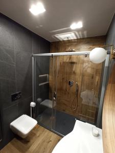 a bathroom with a glass shower and a toilet at Apartament Letycja in Gdańsk +12 photos