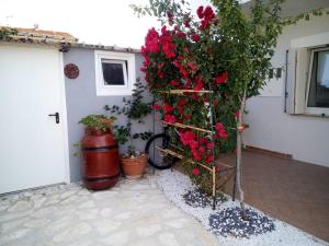 Vonkajšia záhrada v ubytovaní Leonie Apartment 4 Stern