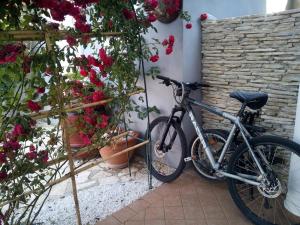 Jazda na bicykli v okolí ubytovania Leonie Apartment 4 Stern