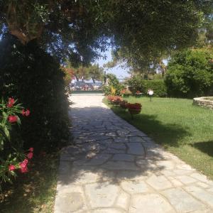 Foto dalla galleria di Studios Galanis ad Áfitos