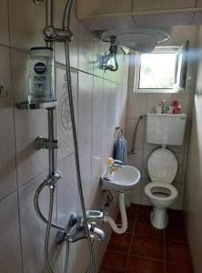 a small bathroom with a toilet and a sink at Vila Eva in Međuvršje