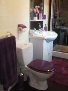 a bathroom with a toilet with a purple lid and a sink at Alain et Flo in Charancieu