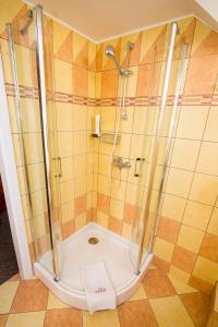 um chuveiro com uma porta de vidro na casa de banho em Tinódi Fogadó em Sárvár