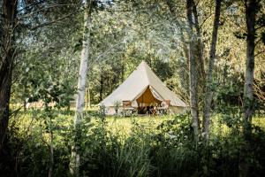 a tent in the middle of a forest at WPark Glamping in Põltsamaa