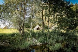 Příroda nedaleko luxury tent