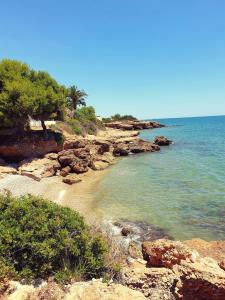 Táj Show holiday homes közelében