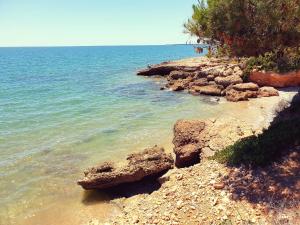 Táj Show holiday homes közelében
