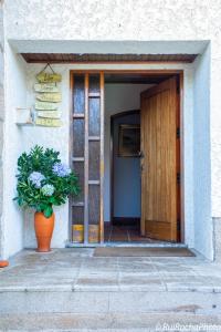 an open door with a plant in front of a building at Casa do Pinhal Guest House in Vila Chã