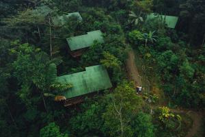 uma vista superior de uma floresta com casas e árvores em La Tigra Rainforest Lodge em La Fortuna