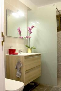 uma casa de banho com um lavatório, um WC e um espelho. em Apartamento con jardín y piscina B em Puerto de la Cruz