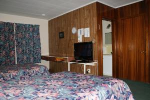 TV a/nebo společenská místnost v ubytování Regent Motel
