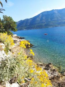 a view of a body of water with yellow flowers at Blaga Apartment - in Korčula