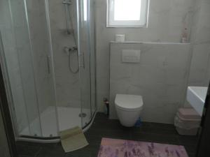 a bathroom with a shower and a toilet and a sink at Apartman Linda in Medulin
