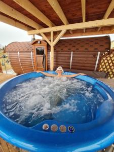 Afbeelding uit fotogalerij van Villa Avoti in Sigulda