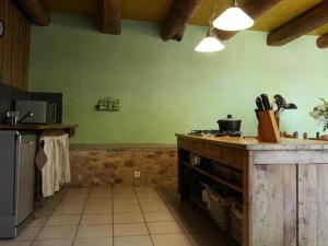 cocina con paredes verdes y encimera en Gîte Saint-Beauzire, 4 pièces, 6 personnes - FR-1-582-210, en Saint-Beauzire