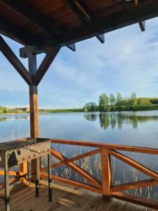 a dock with a view of a lake at Villa Avoti in Sigulda