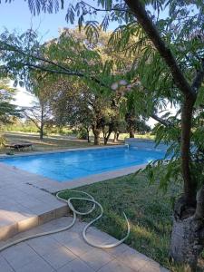 una piscina con tubo accanto ad un albero di Maison calme a Beaumes-de-Venise