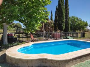 a swimming pool in a yard with a tree and a chair at Casa del Procurador in Las Virtudes