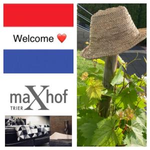 a collage of photos with a hat and a plant at Maxhof Trier in Trier