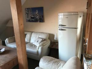 ein Wohnzimmer mit einem Kühlschrank und einem Sofa in der Unterkunft Haus Merian in Winterberg