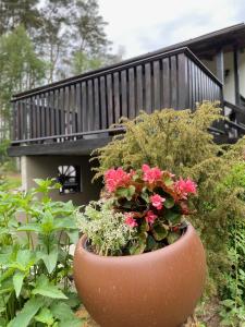 a large pot of flowers in front of a house at Biały Domek nad Wkrą in Popielżyn Górny