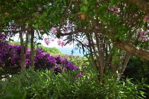 a garden filled with purple flowers and trees at Appartamenti Fronte Mare Fertilia FAHO-GAV01-GAV02 in Fertilia